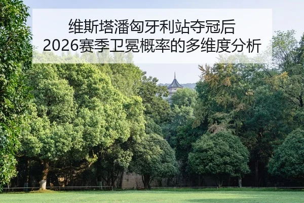 wei-si-ta-pan-xiong-ya-li-zhan-duo-guan-hou-sai-ji-wei-mian-gai-lv-de-duo-wei-du-fen-xi-2-837.jpg